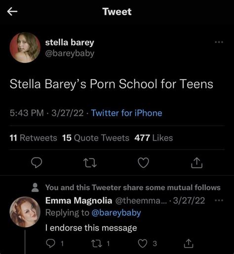 Stella Barey is Disgusting : r/TTCornStarSnark